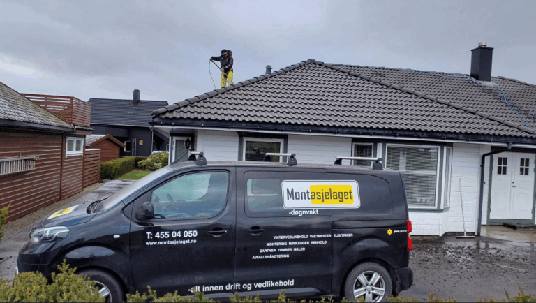 takvask og rennerens